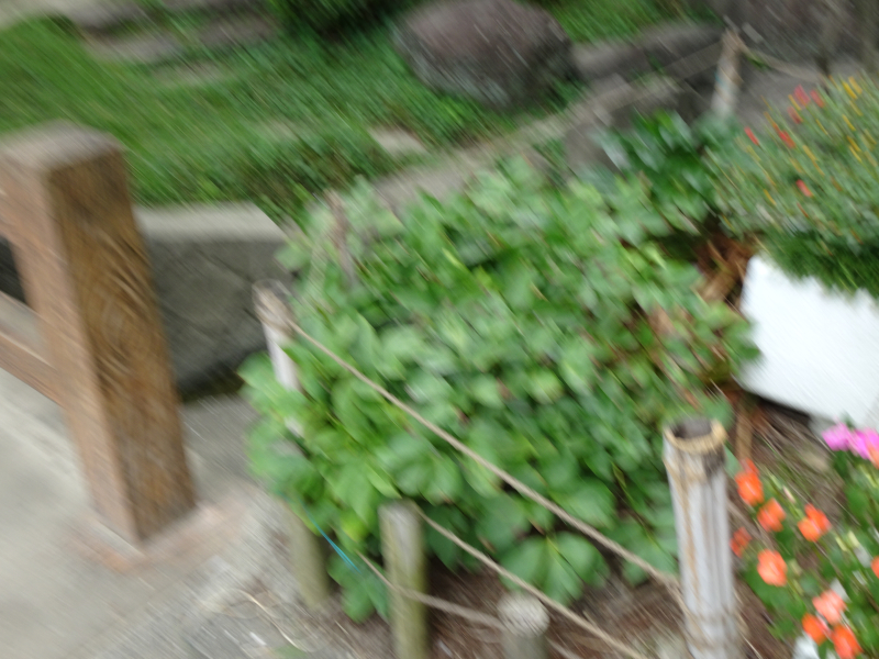 DSC09034