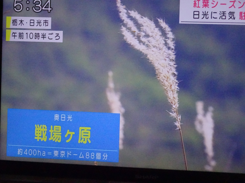 DSC01534