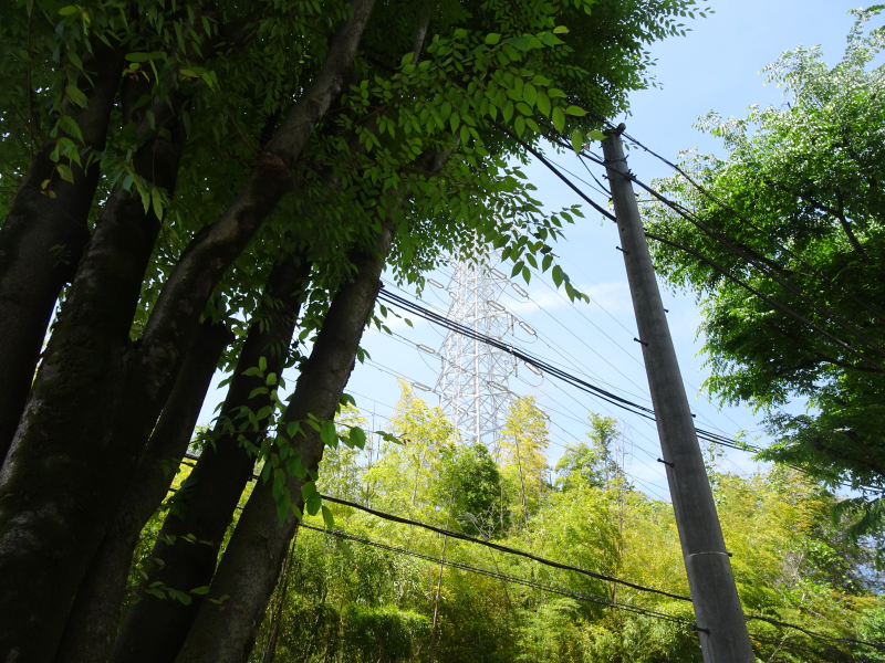 DSC09392