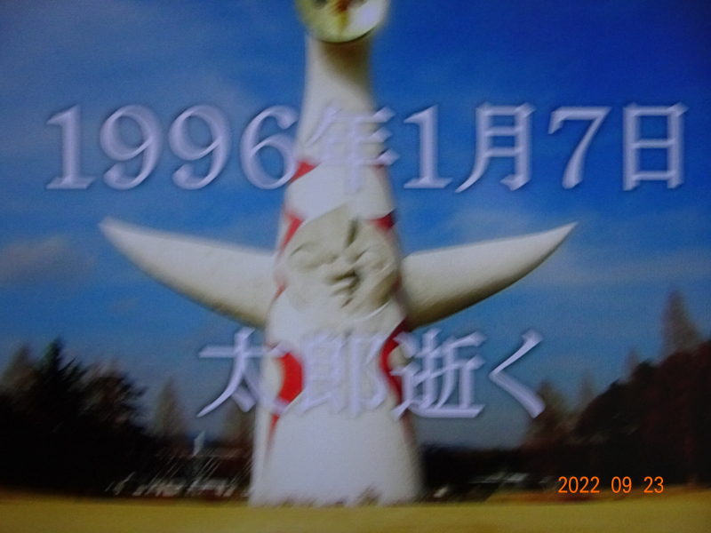 DSC08179