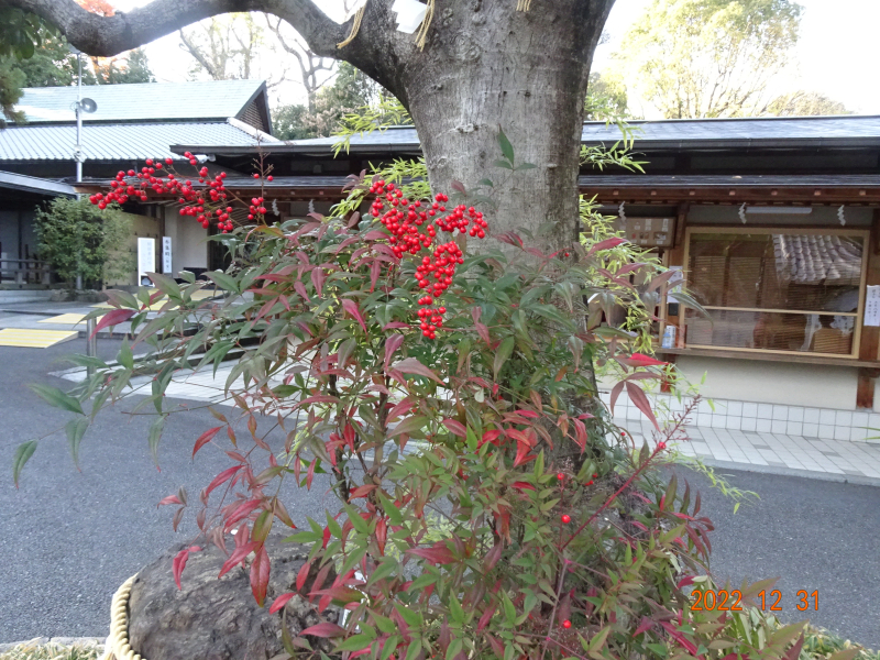 DSC03860