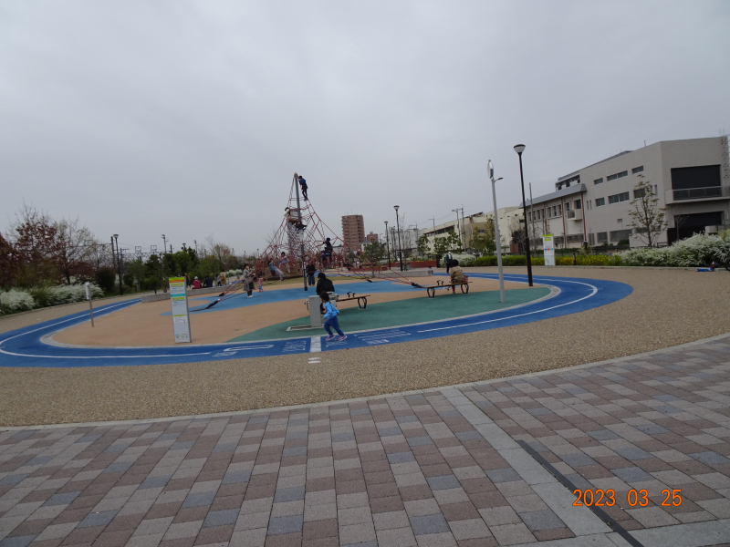 DSC00867