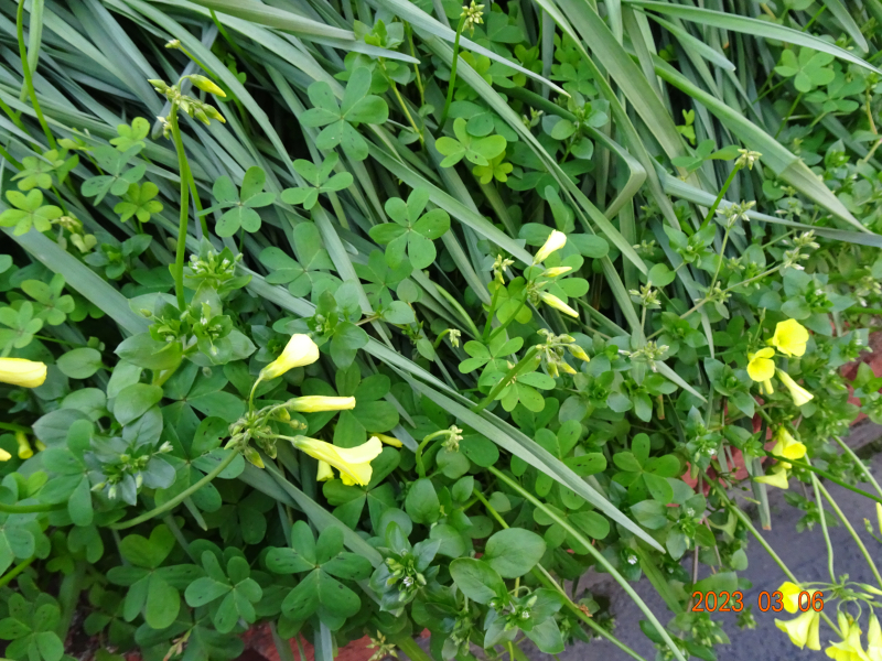 DSC04200 DSC04200