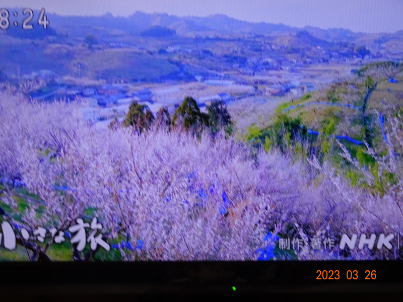 DSC01132 DSC01132