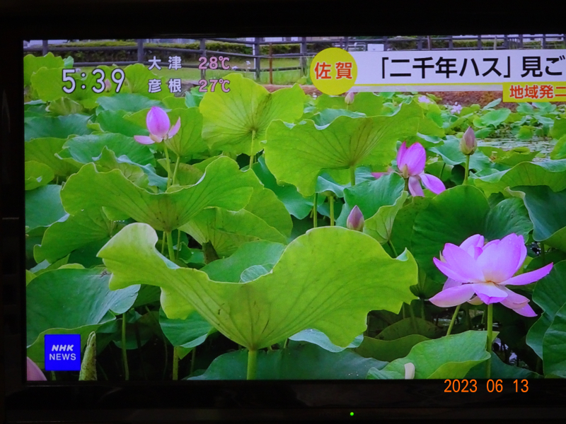 DSC01817