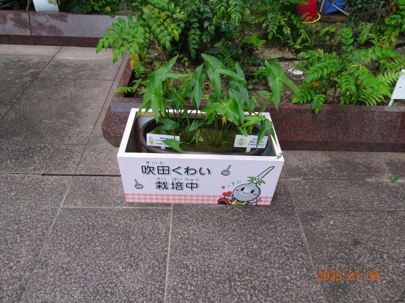 DSC08127