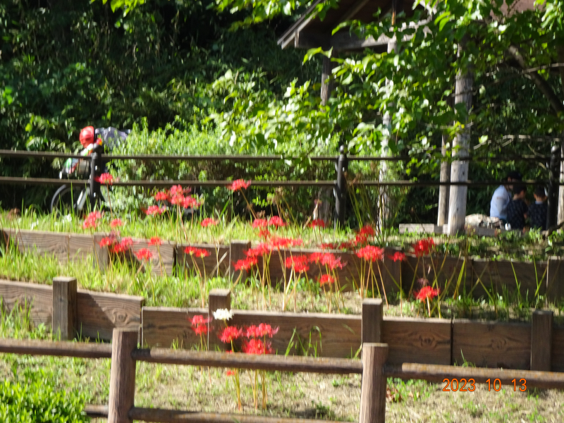 DSC08149