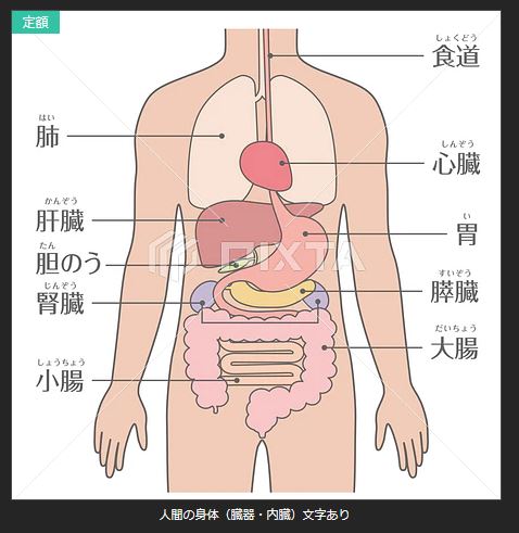 キャプチャ1