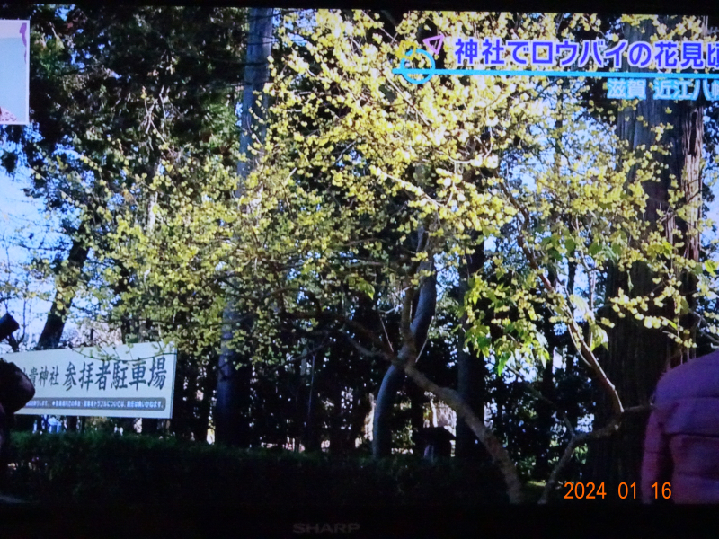 DSC03279 DSC03279