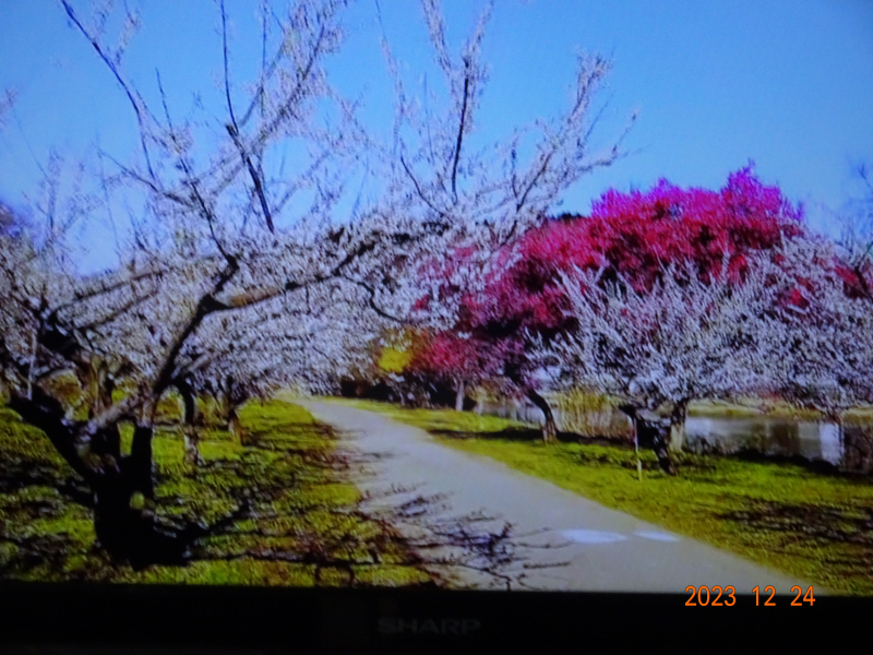 DSC00288