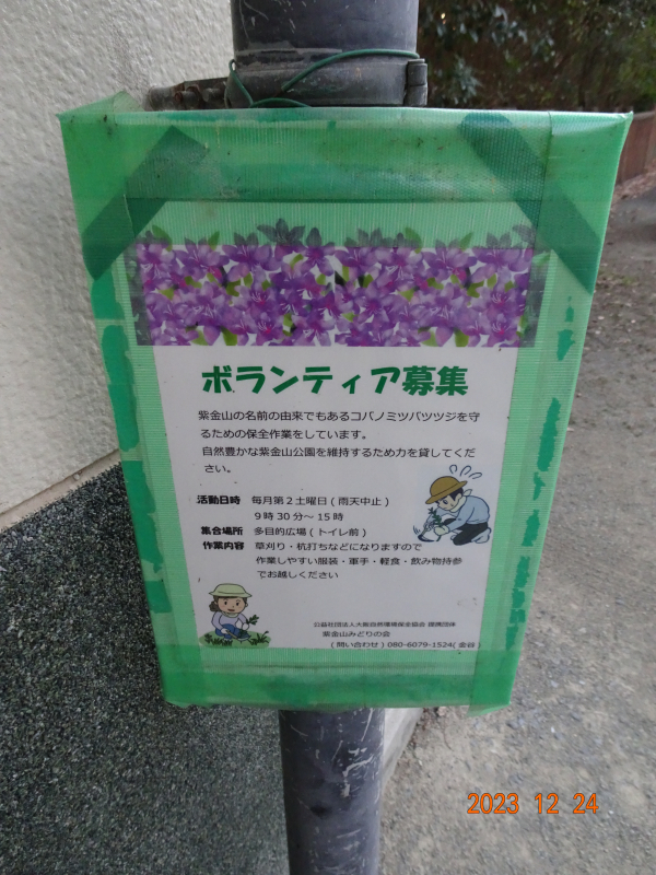 DSC04305
