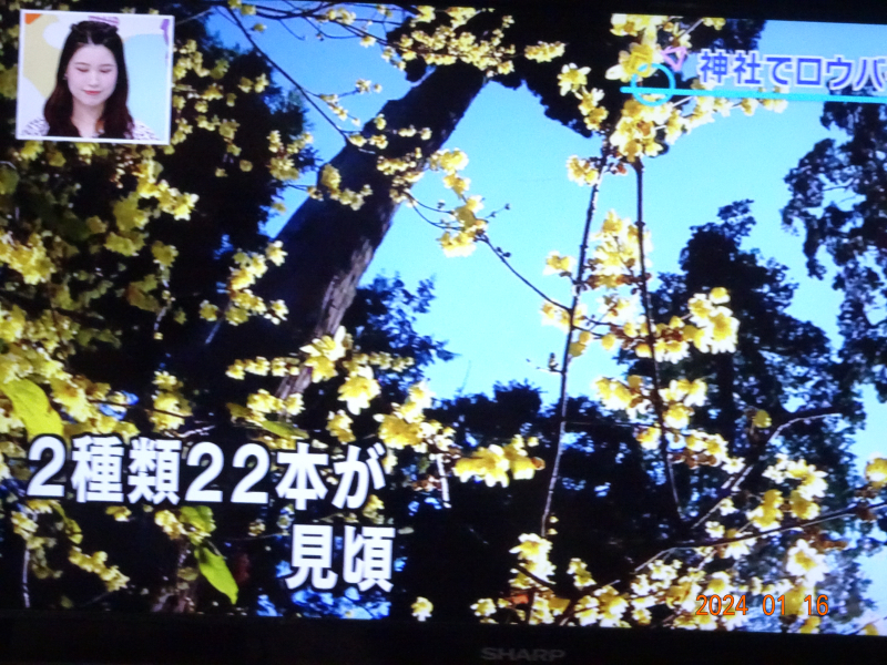 DSC03276 DSC03276