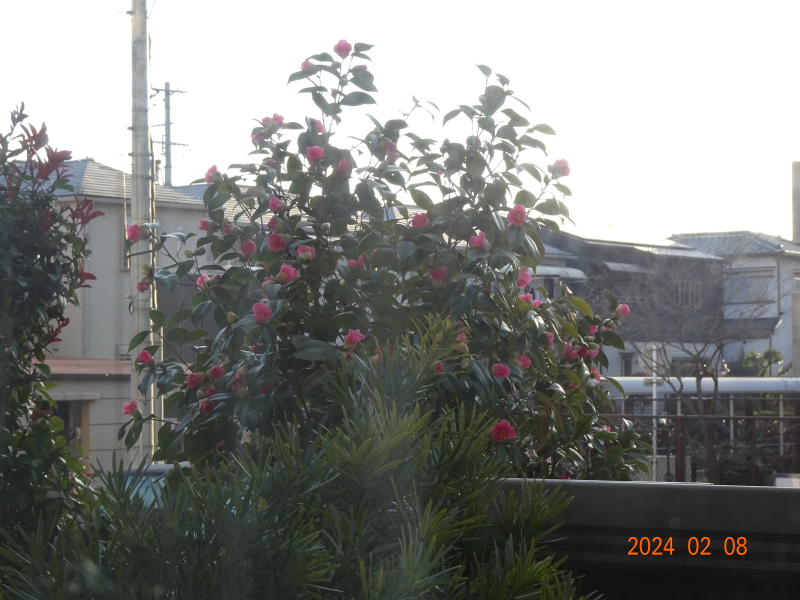 DSC07160 DSC07160