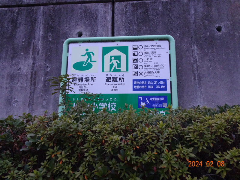 DSC07437 DSC07437