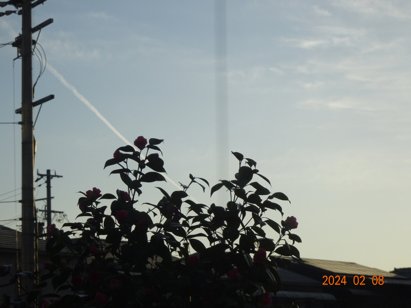 DSC07161 DSC07161