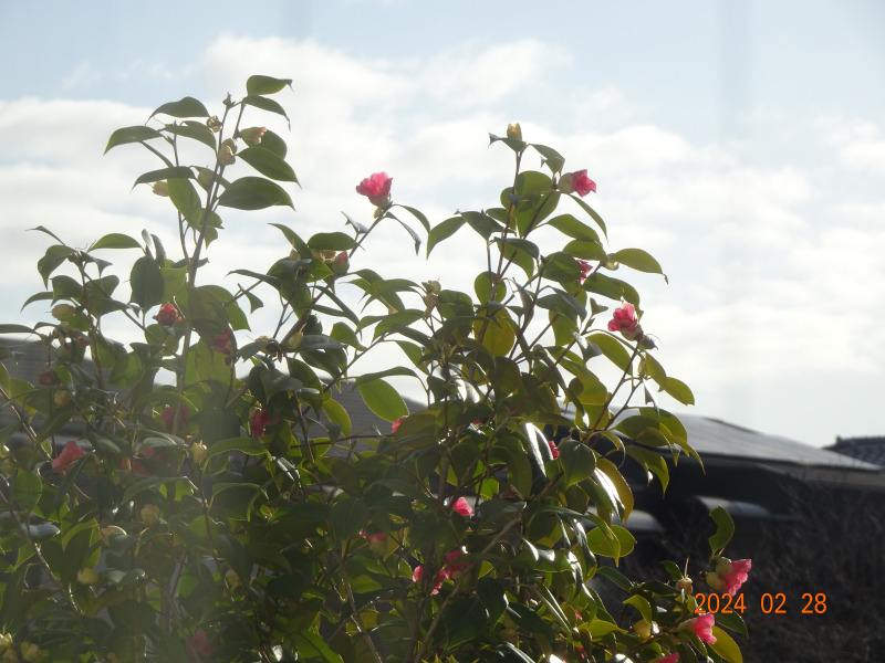 DSC01190 DSC01190