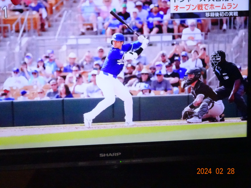DSC01258 DSC01258