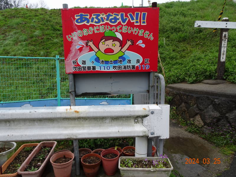 DSC05992