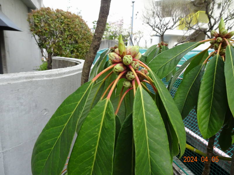 DSC07925
