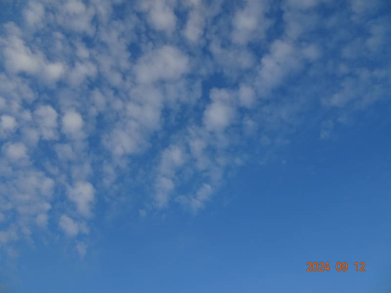 DSC03808
