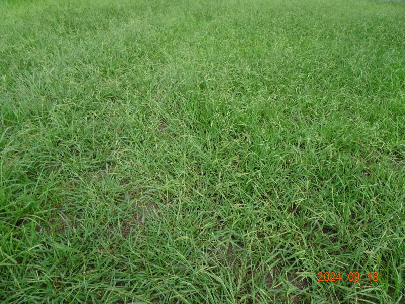 DSC05325