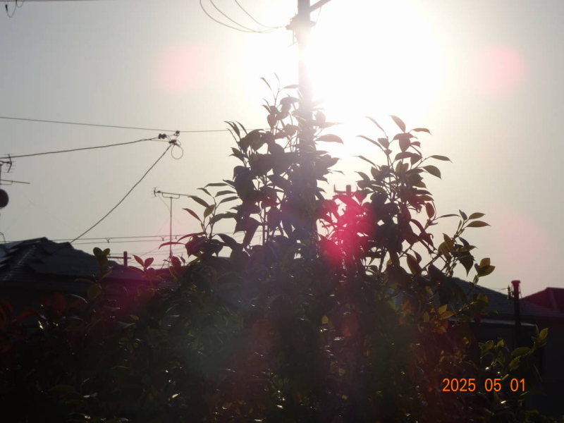 DSC04097