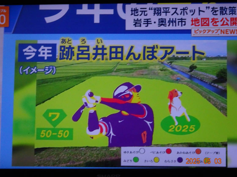 DSC04405
