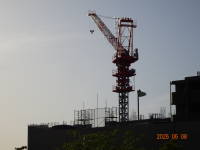 DSC04951