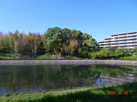 DSC04996