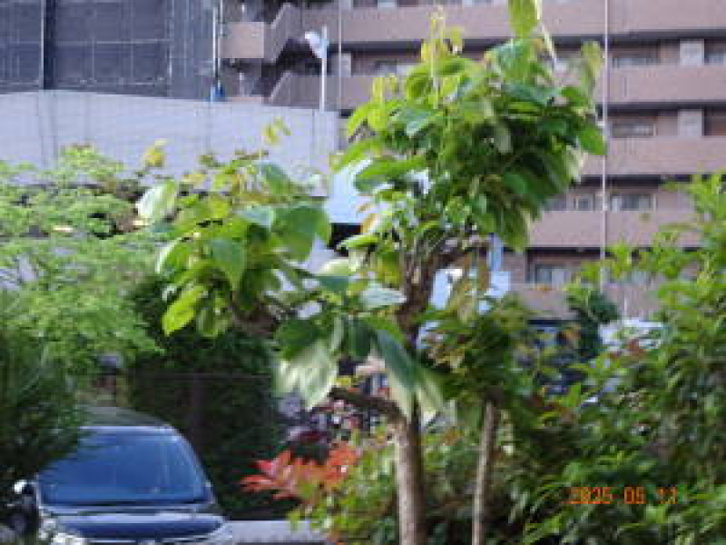 DSC05226