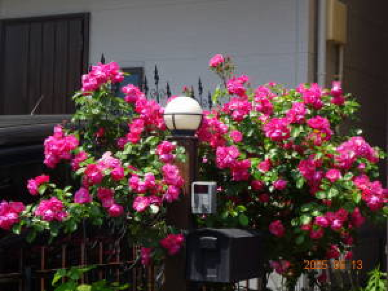 DSC05326