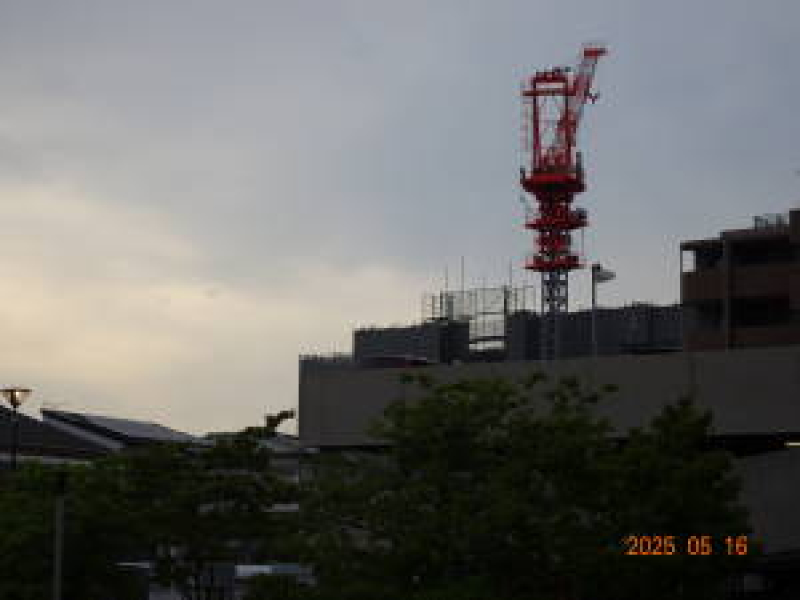 DSC05478