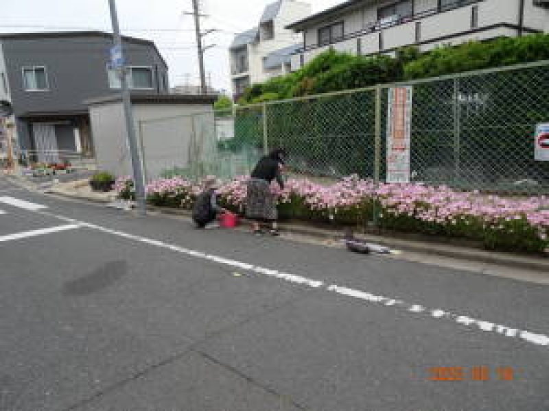 DSC05542