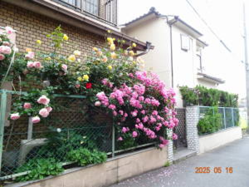 DSC05579