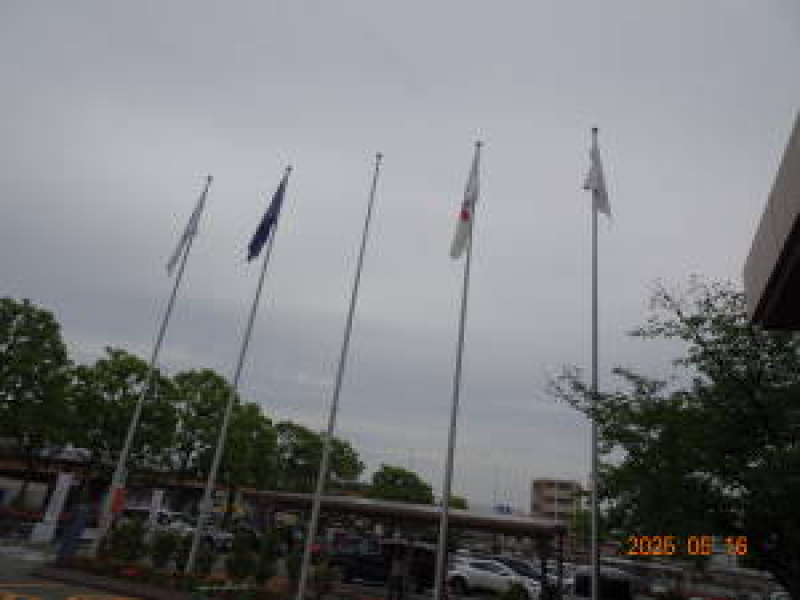 DSC05595