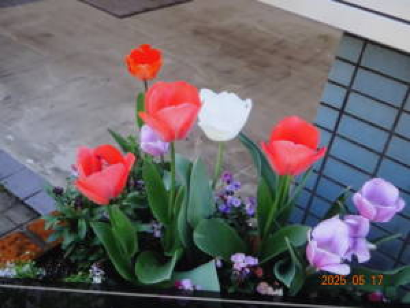 DSC05725