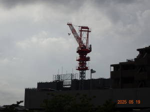 DSC05924