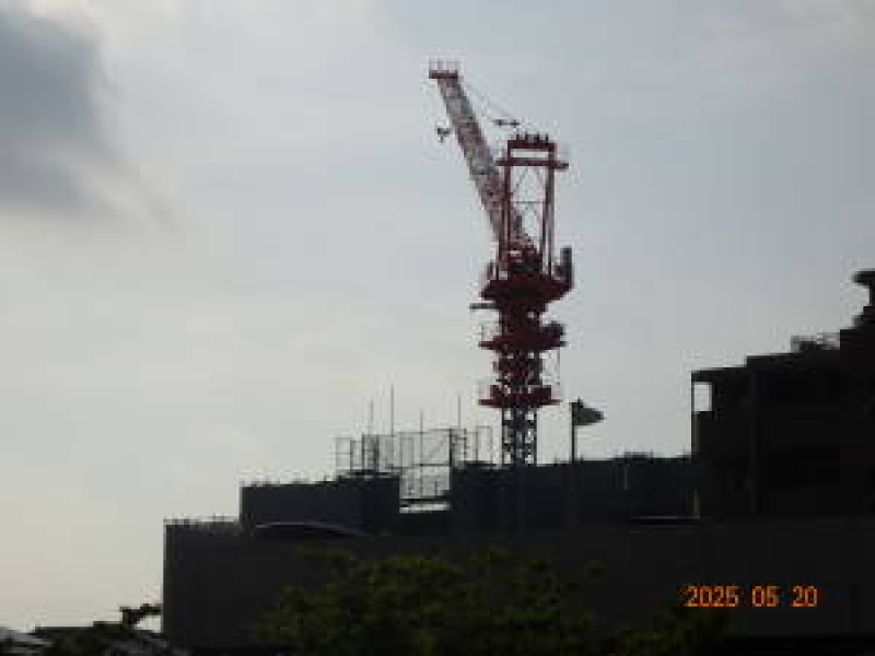 DSC05944