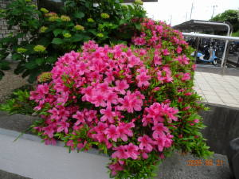 DSC06093