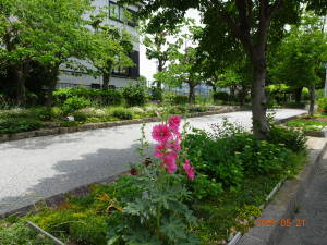 DSC06118