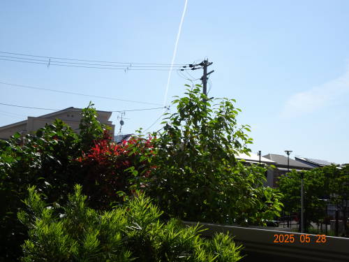 DSC06957