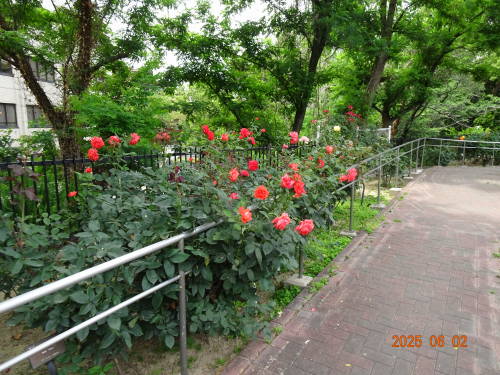 DSC09748