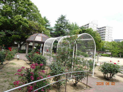 DSC09760