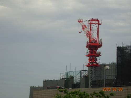 DSC07266