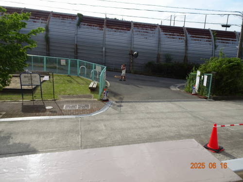 DSC08013