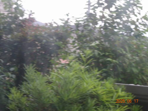 DSC08064