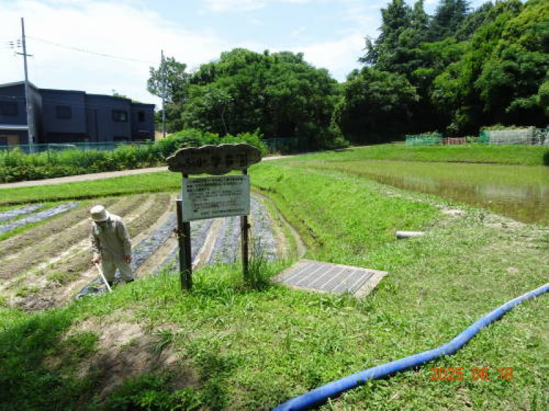DSC08211