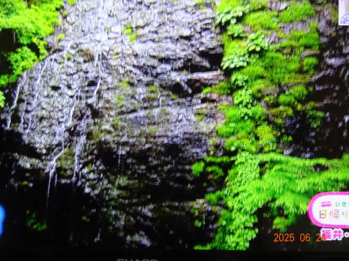 DSC08970