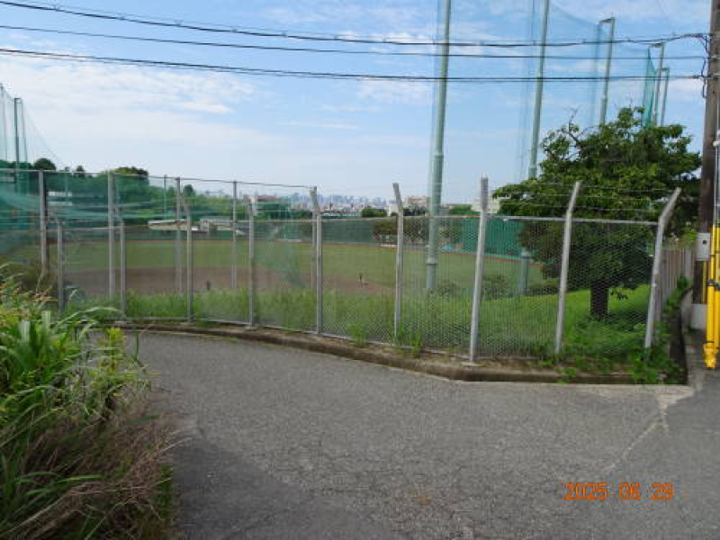 DSC09387