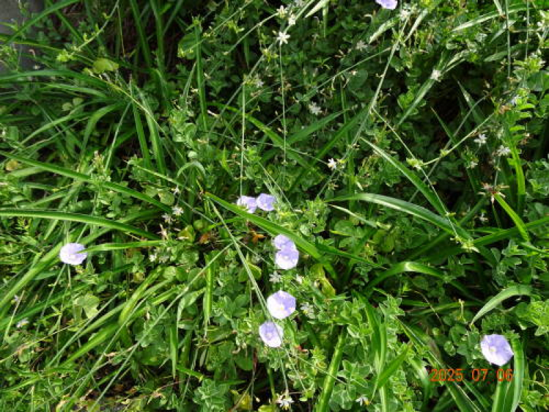 DSC00350